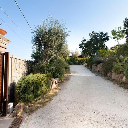 Montebosco Luxury Country House Apartment Piano di Sorrento Exterior photo